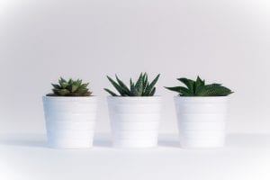 Growth hack for sales team